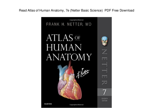 Netter Anatomy Atlas Pdf